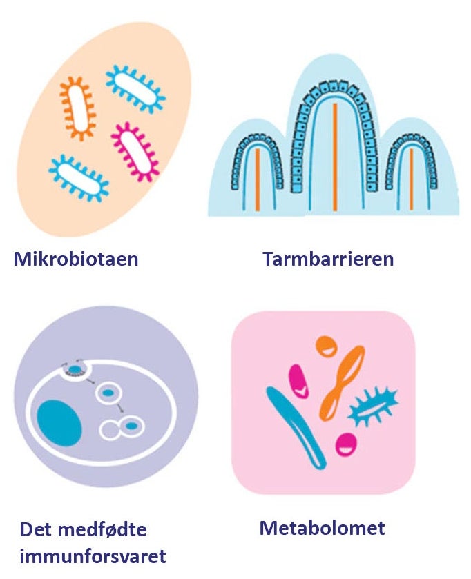 LÄNKEN MELLAN CROHNS SJUKDOM OCH MAT