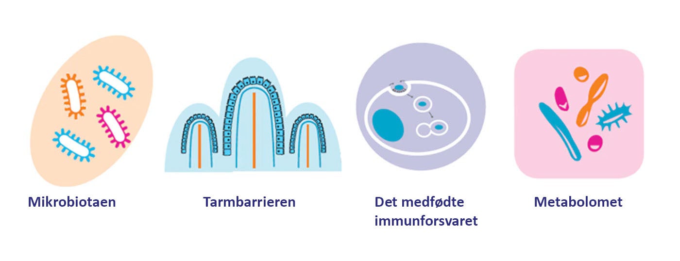 LÄNKEN MELLAN CROHNS SJUKDOM OCH MAT